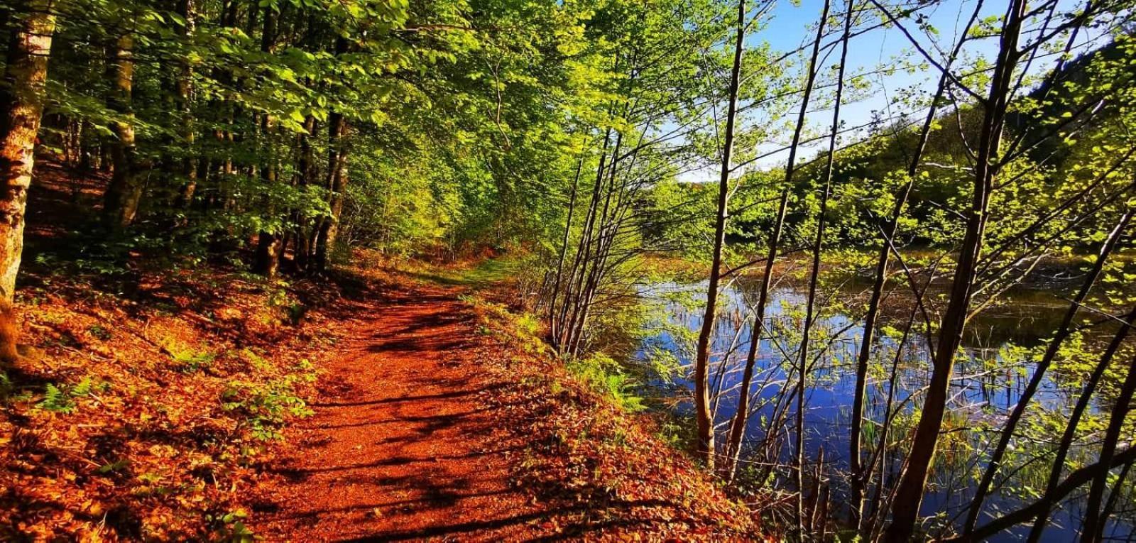 Le Lac Des Moines Condat  Экстерьер фото