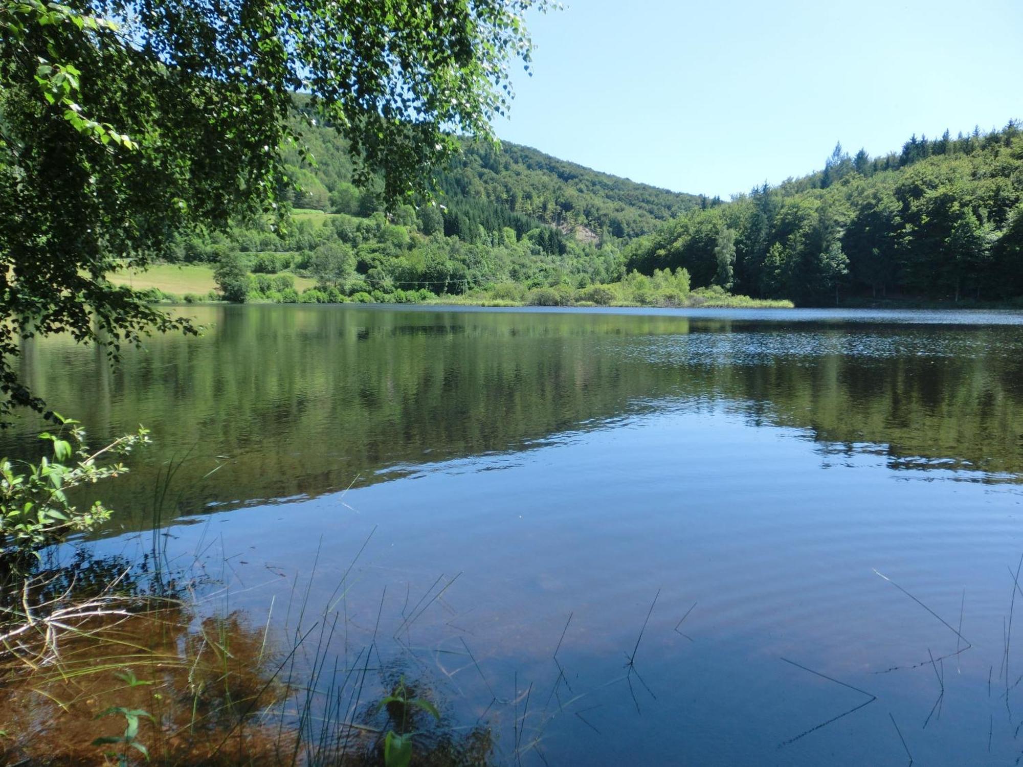 Le Lac Des Moines Condat  Экстерьер фото